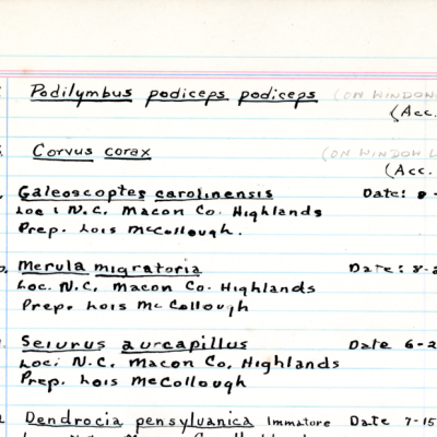 Highlands Biological Station Museum Accession Book showing the raven’s accession record.