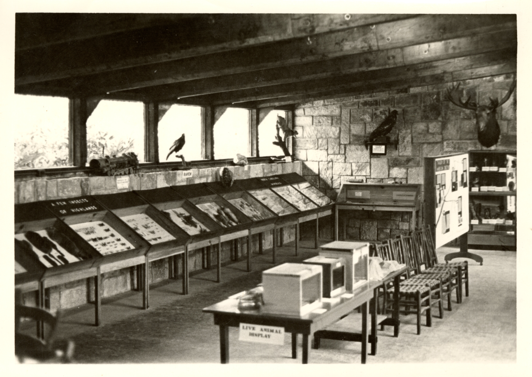 Clark Foreman Museum Interior II