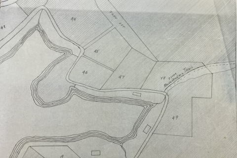 Plat of Coker Rhododendron Trail, August 1, 1960 
By J.E. Root
