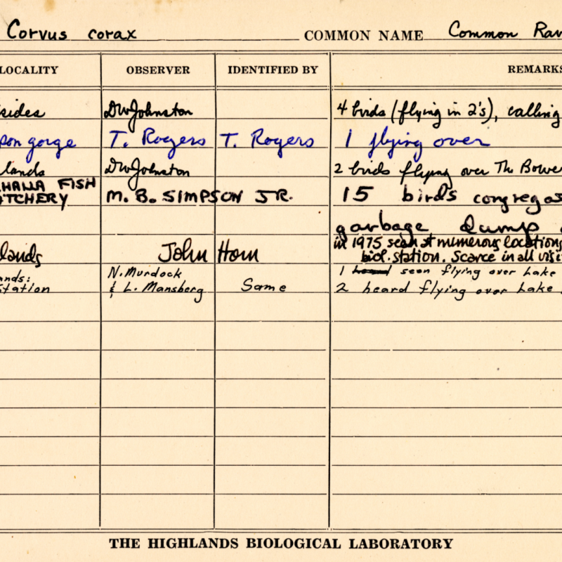 HBS observation, or biota, cards documenting sightings in the Highlands area.