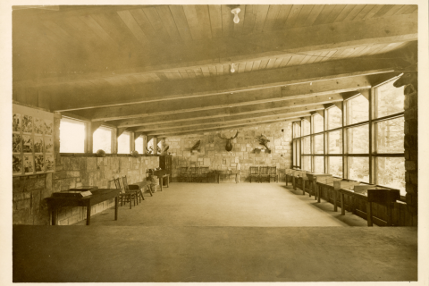 Interior views of the Clark Foreman Museum/Nature Center showing the raven in the background.