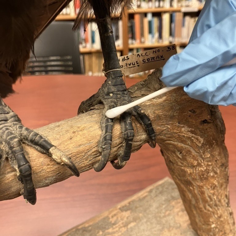 Process of Cleaning Feet