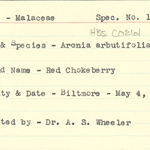 Wheeler museum document page 7
