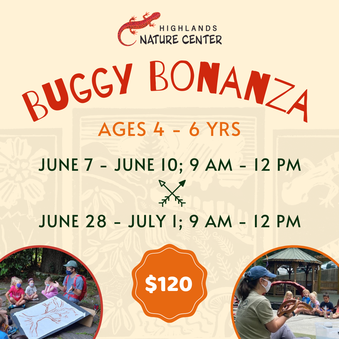 Summer Camp Graphics (1)