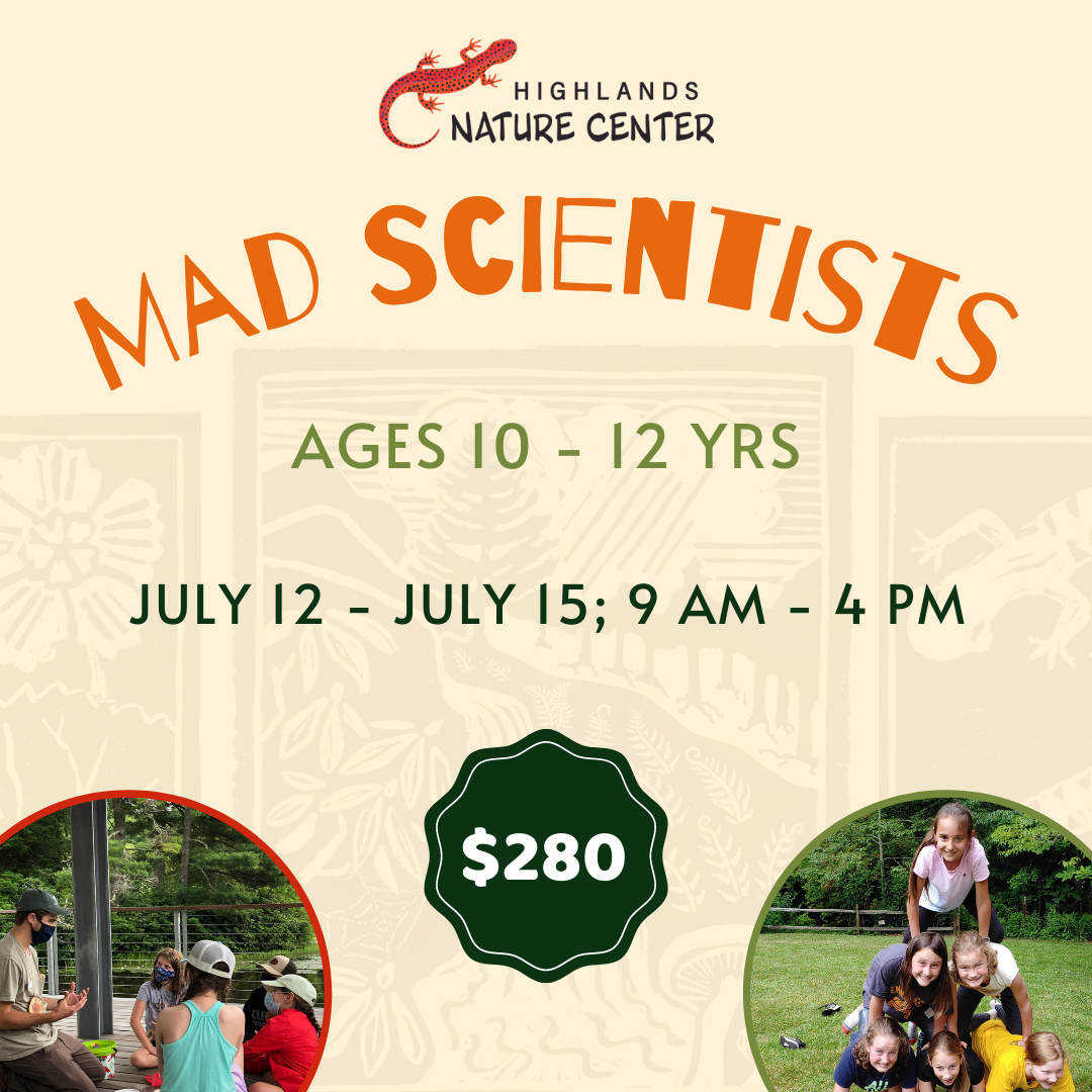 Summer Camp Graphics (12)