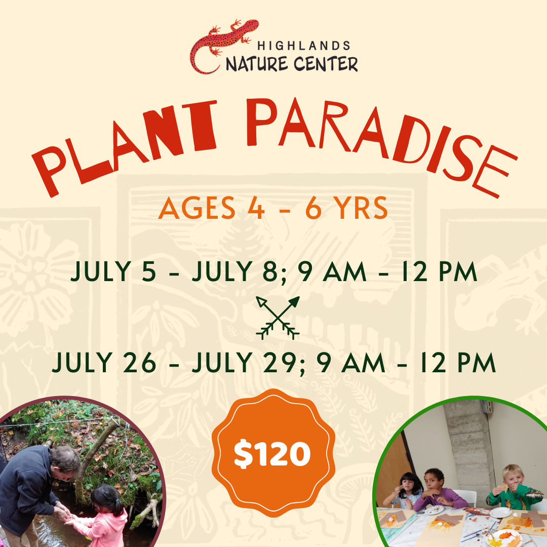 Summer Camp Graphics (3)