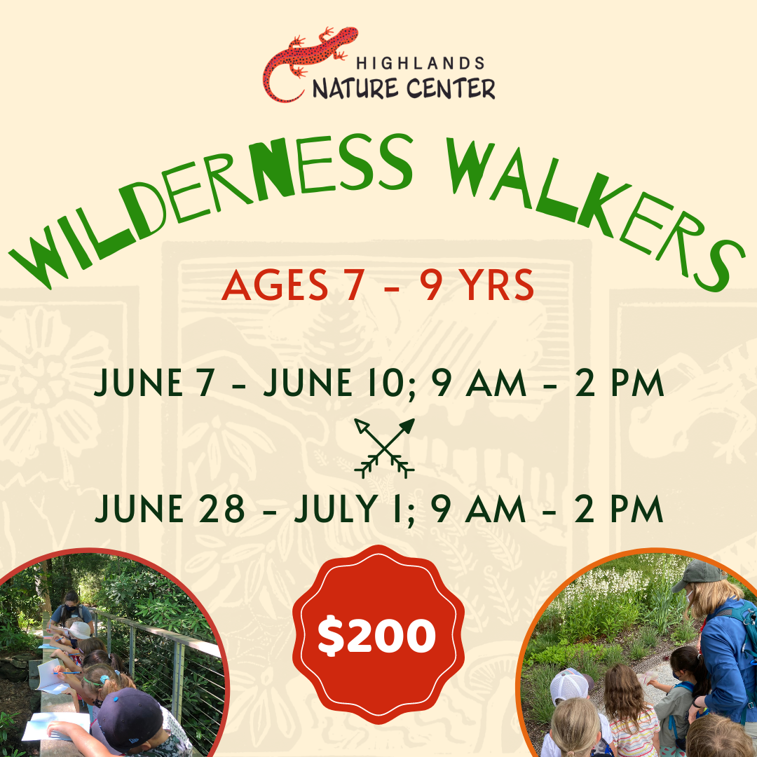 Summer Camp Graphics (4)