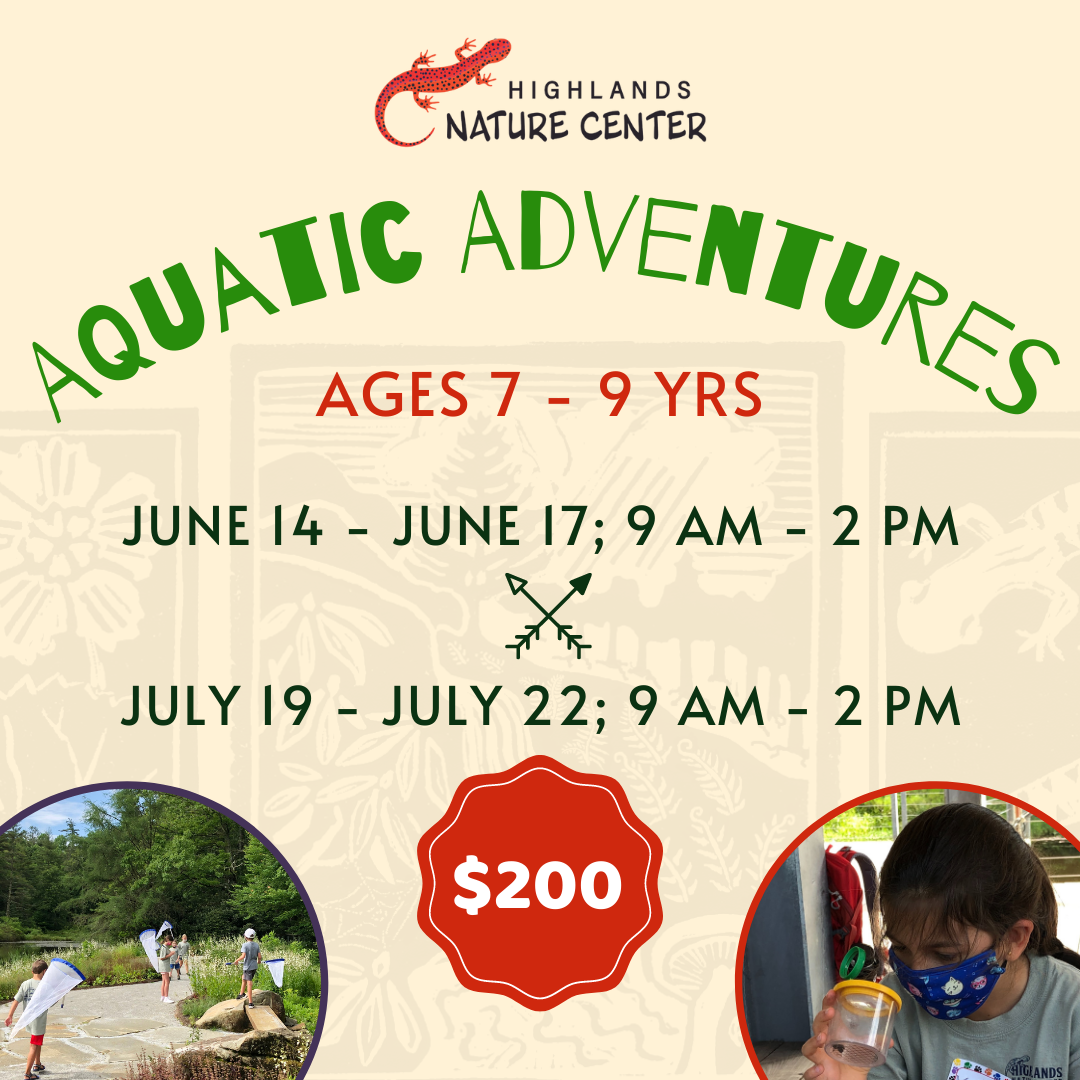 Summer Camp Graphics (5)
