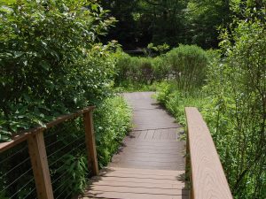 Lindenwood Lake Loop