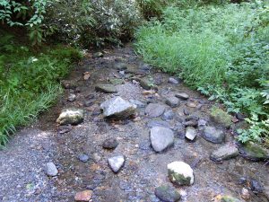 Creekside Trail