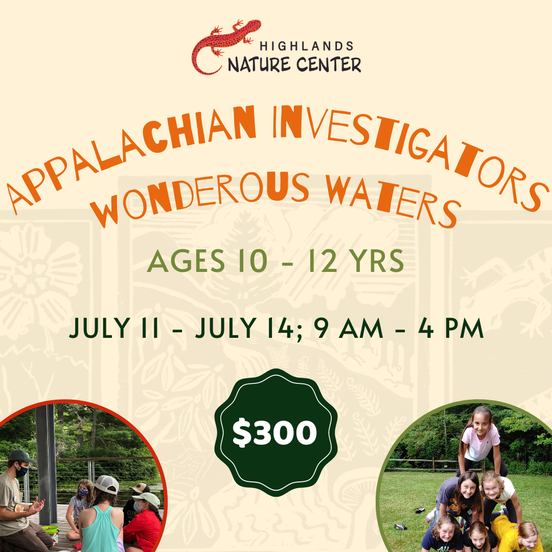 Summer Camp Graphics 2023 (1)