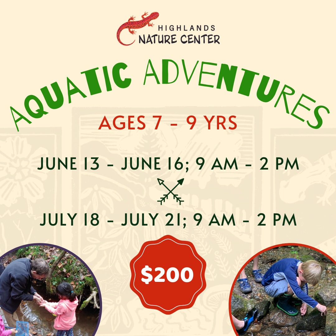 Summer Camp Graphics 2023 (10)