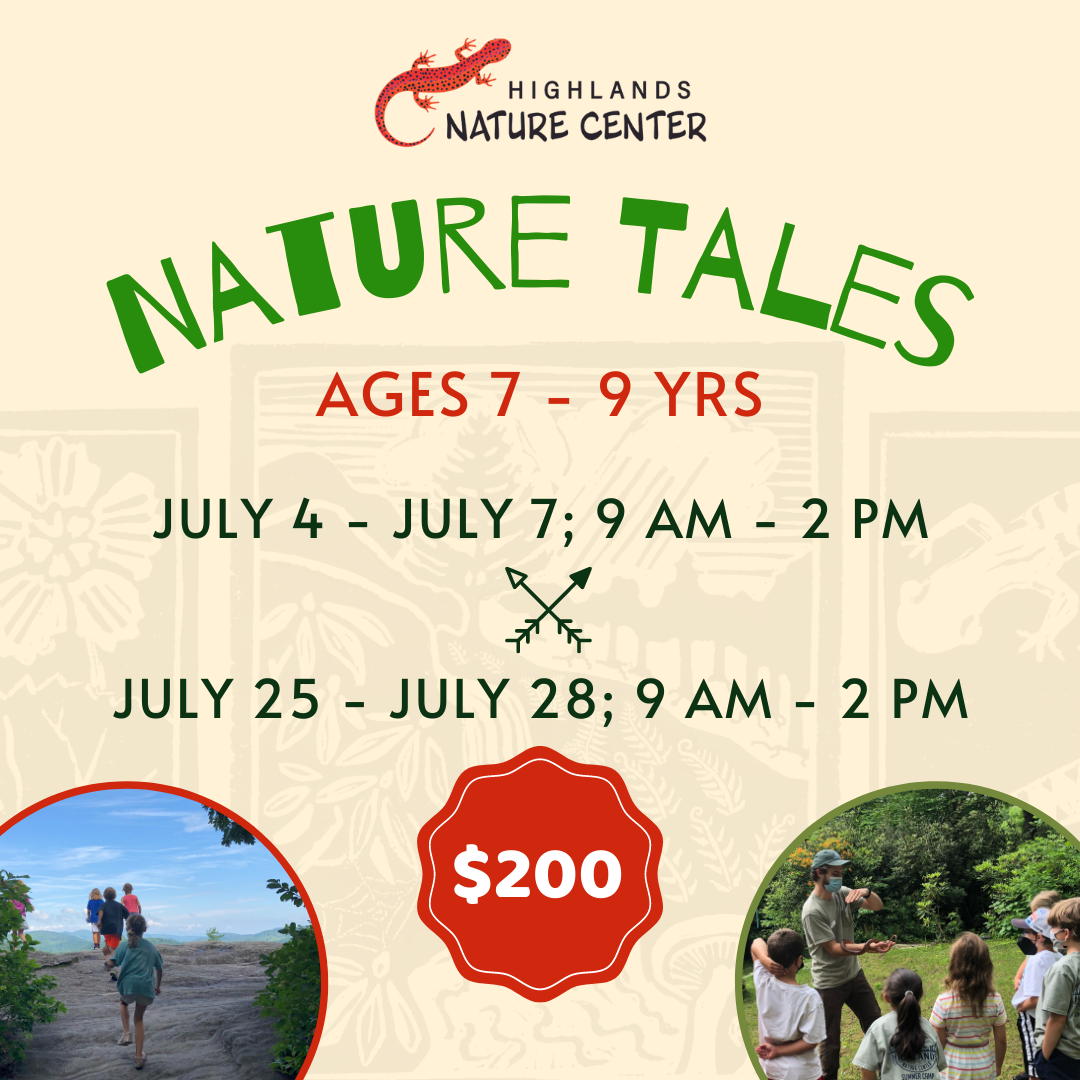 Summer Camp Graphics 2023 (11)