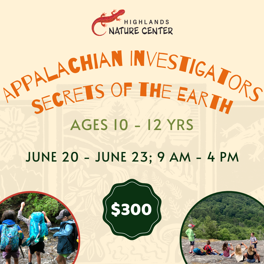 Summer Camp Graphics 2023 (12)