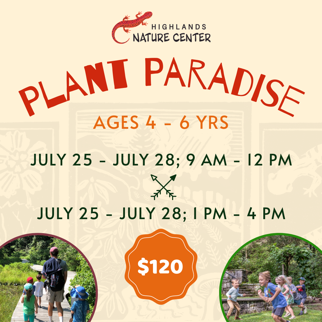 Summer Camp Graphics 2023 (15)
