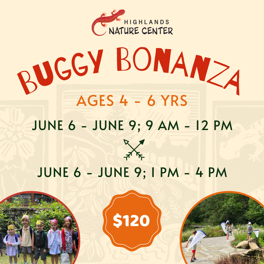 Summer Camp Graphics 2023 (3)