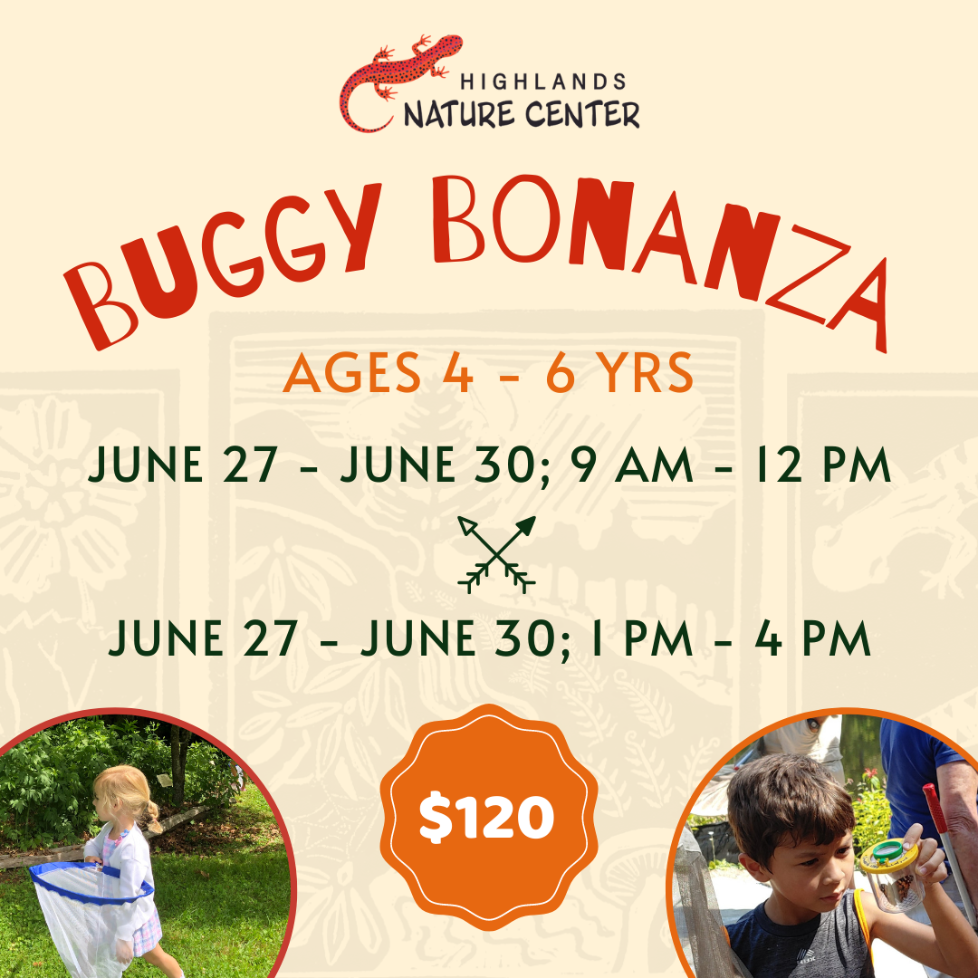 Summer Camp Graphics 2023 (4)