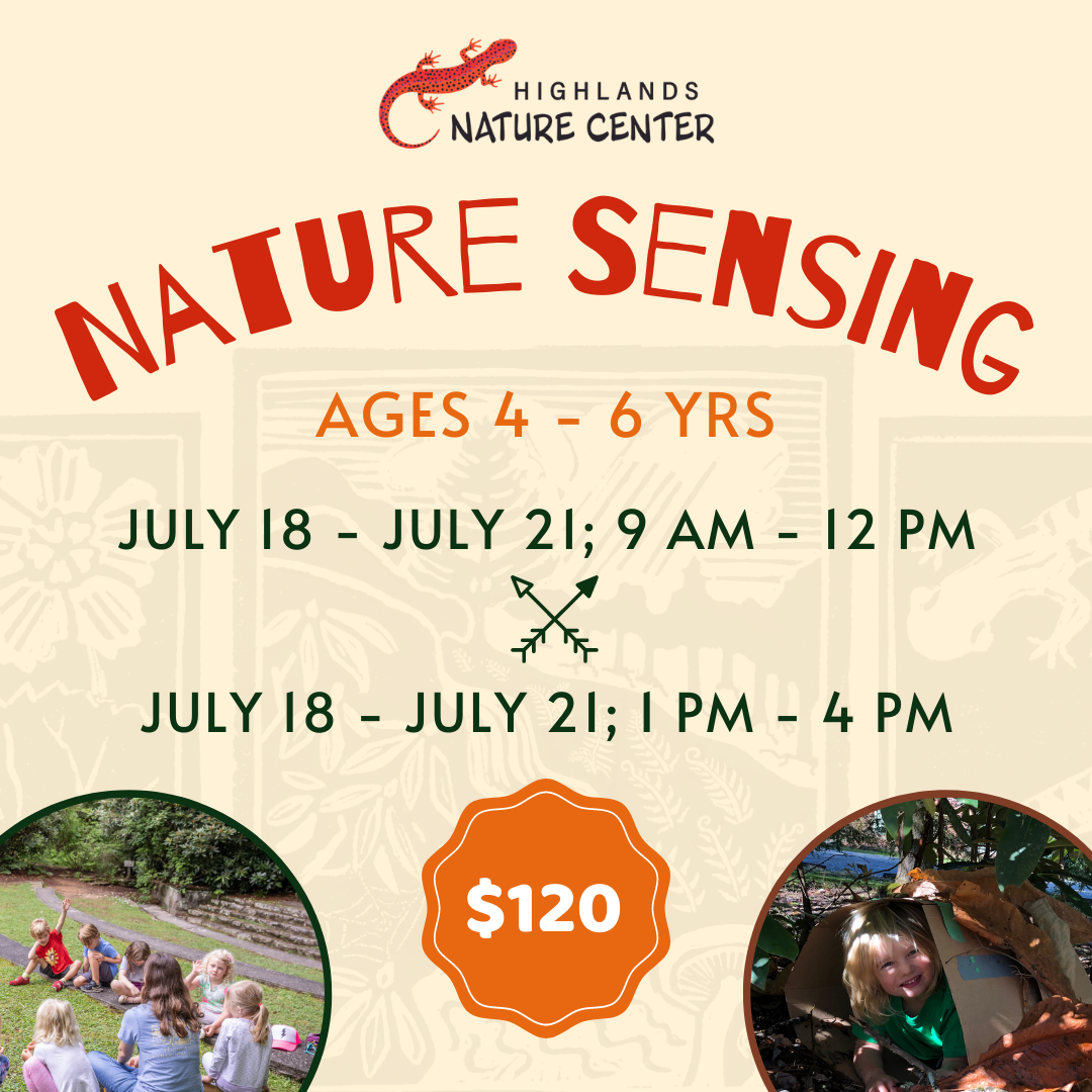 Summer Camp Graphics 2023 (6)