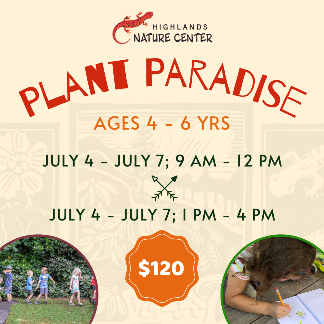 Summer Camp Graphics 2023 (7)