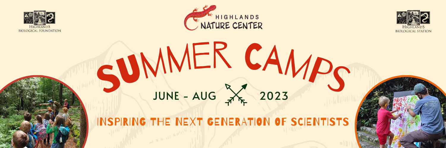 Summer Camp Social Media Instagram Post (Twitter Header) (4)