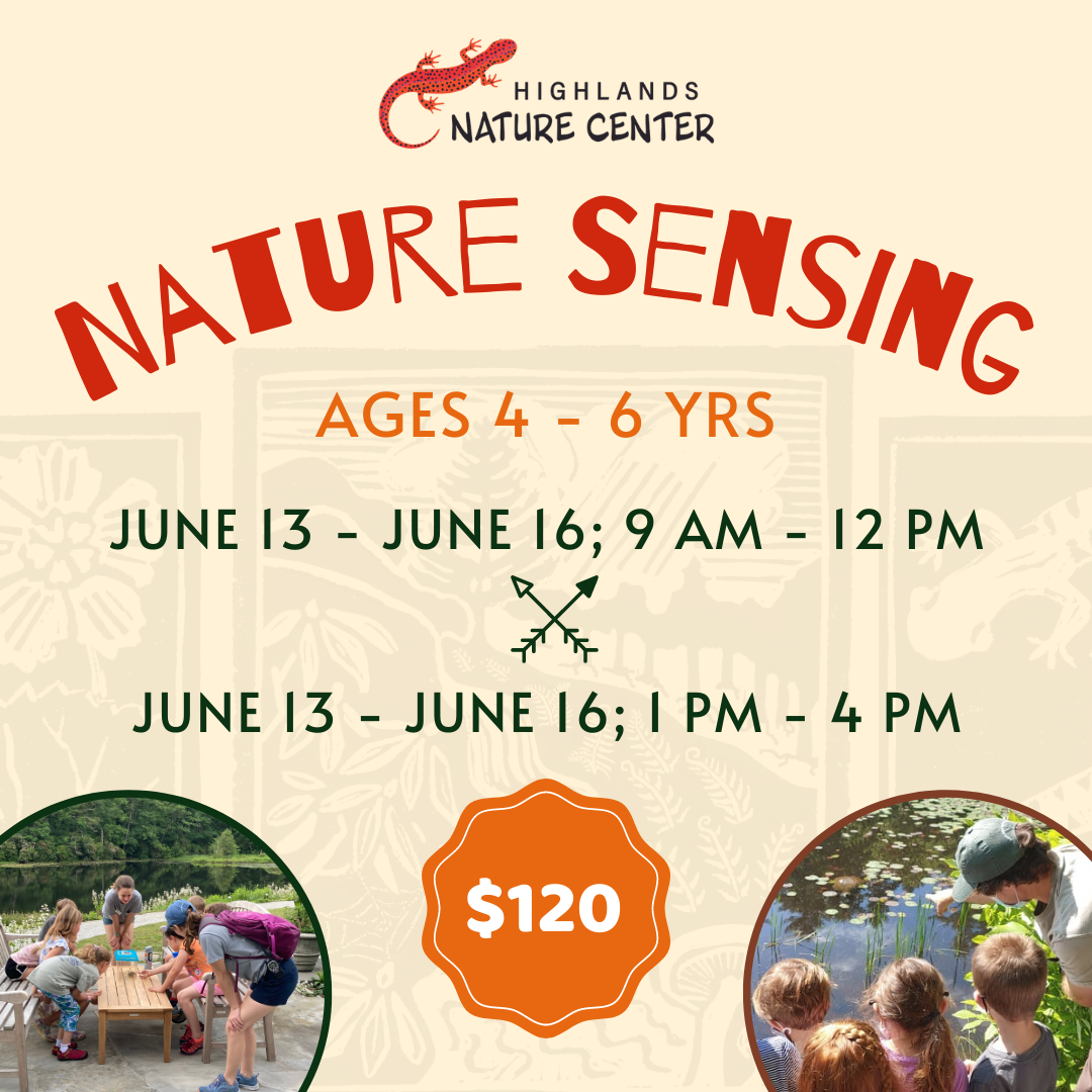 Summer Camp Graphics 2023 (18)