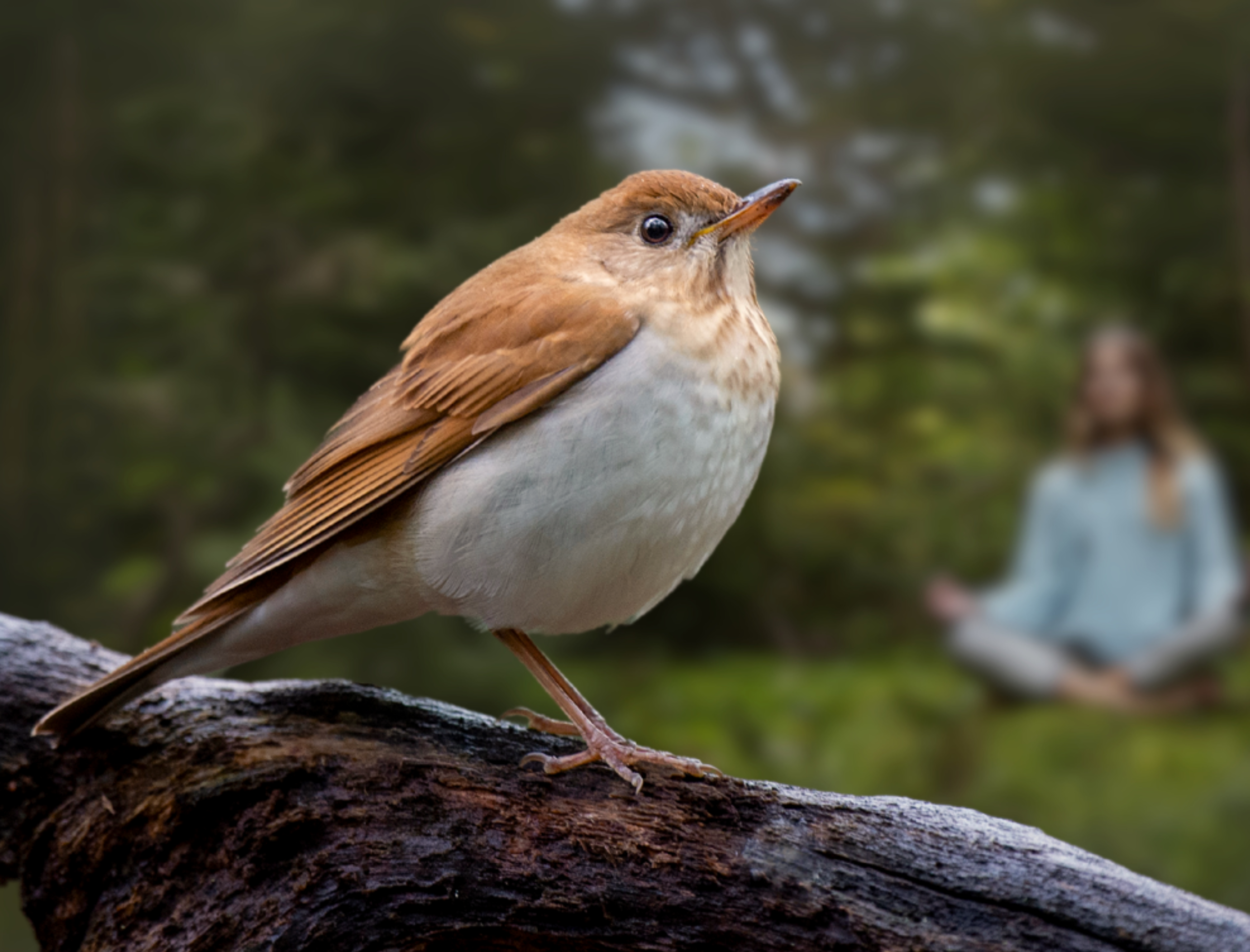 Exhibits and Programs at Highlands Nature Center