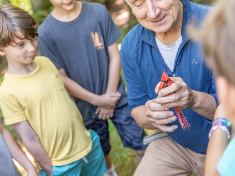 Summer Nature Camps at Highlands Nature Center