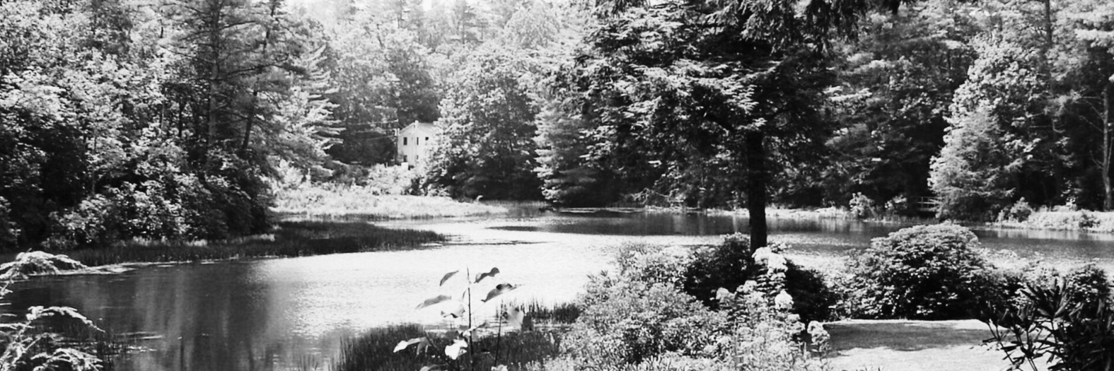 The Highlands Botanical Garden, a living collection of native southern Appalachian plants.
