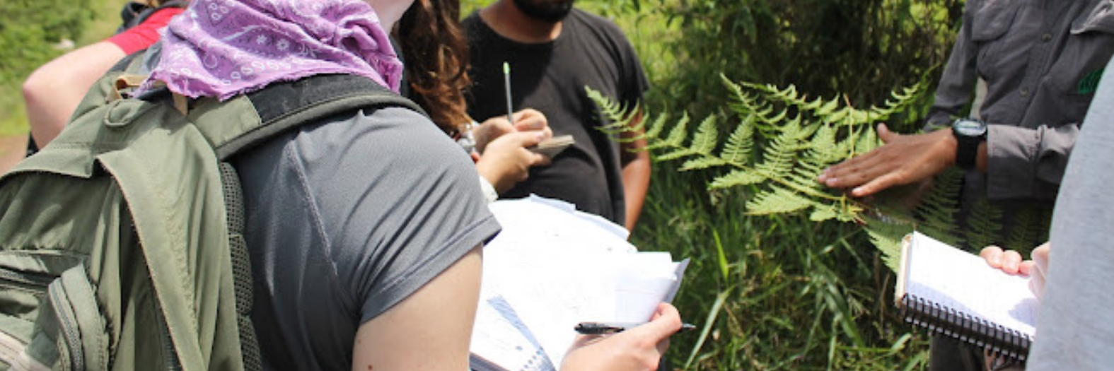Fieldwork representing the partnership with the Carolina Environmental Program, later the UNC Institute for the Environment.