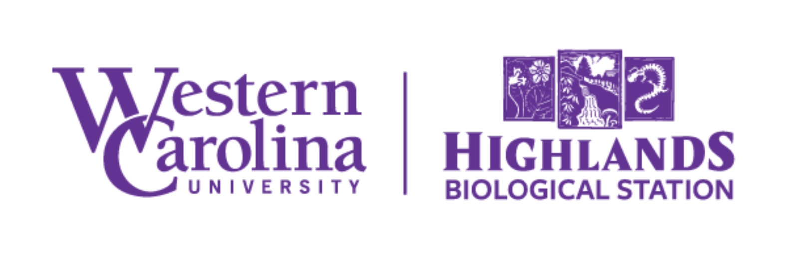 Western Carolina University branding marking HBS as a multi-campus center.