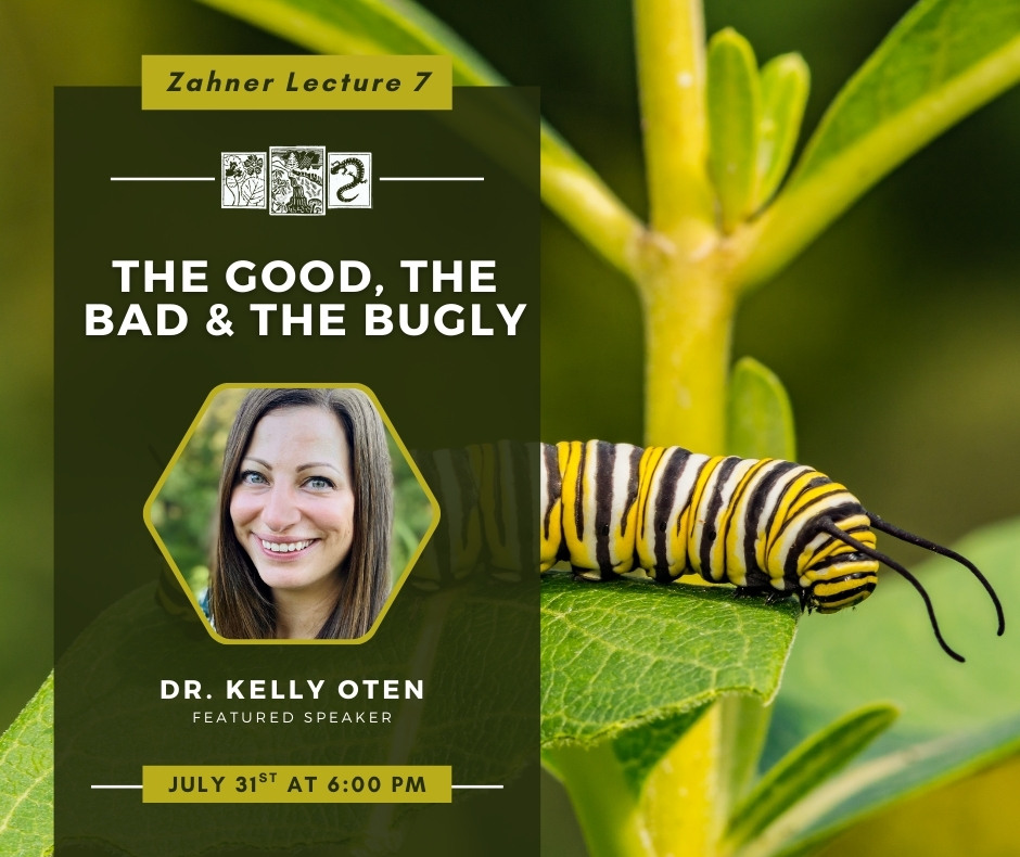 Zahner Lecture 7 - 2025