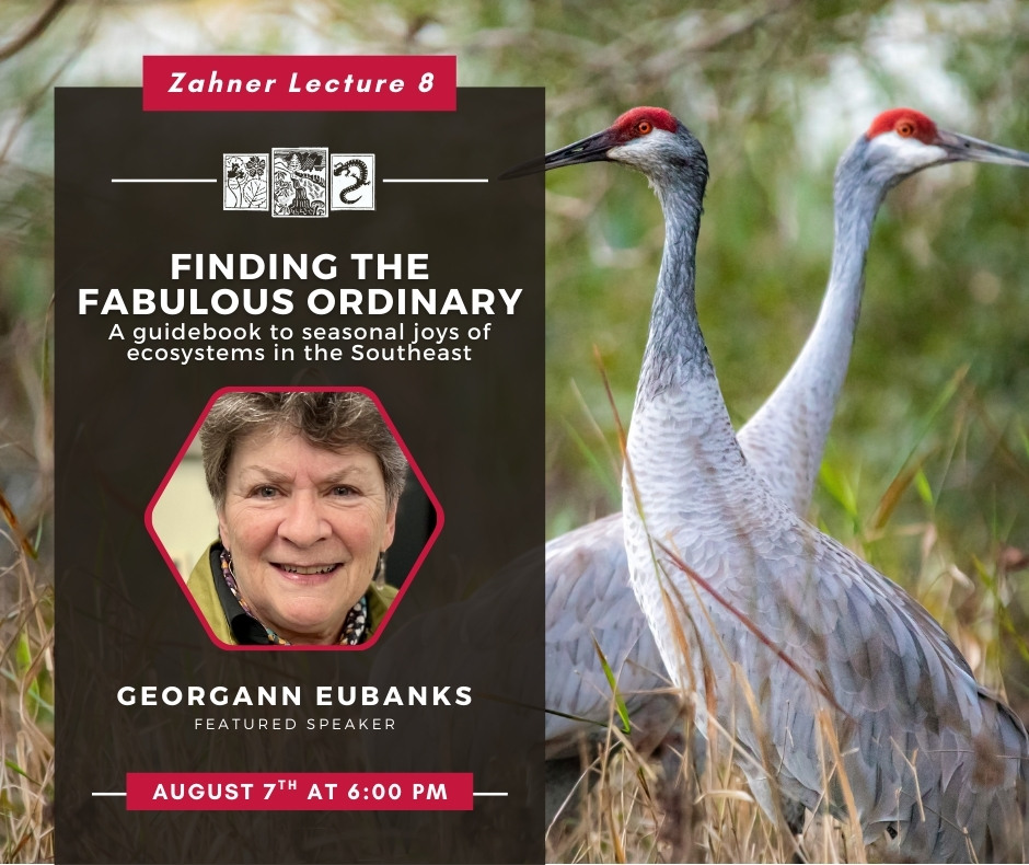 Zahner Lecture 8 - 2025