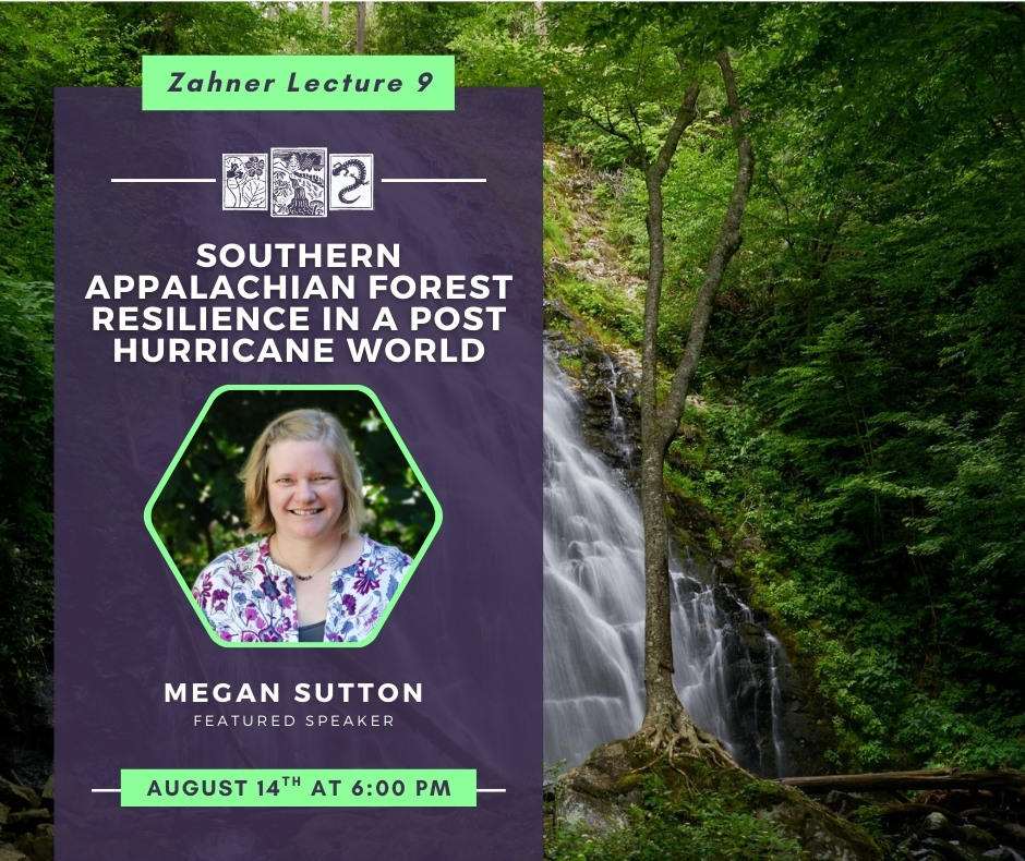 Zahner Lecture 9 - 2025