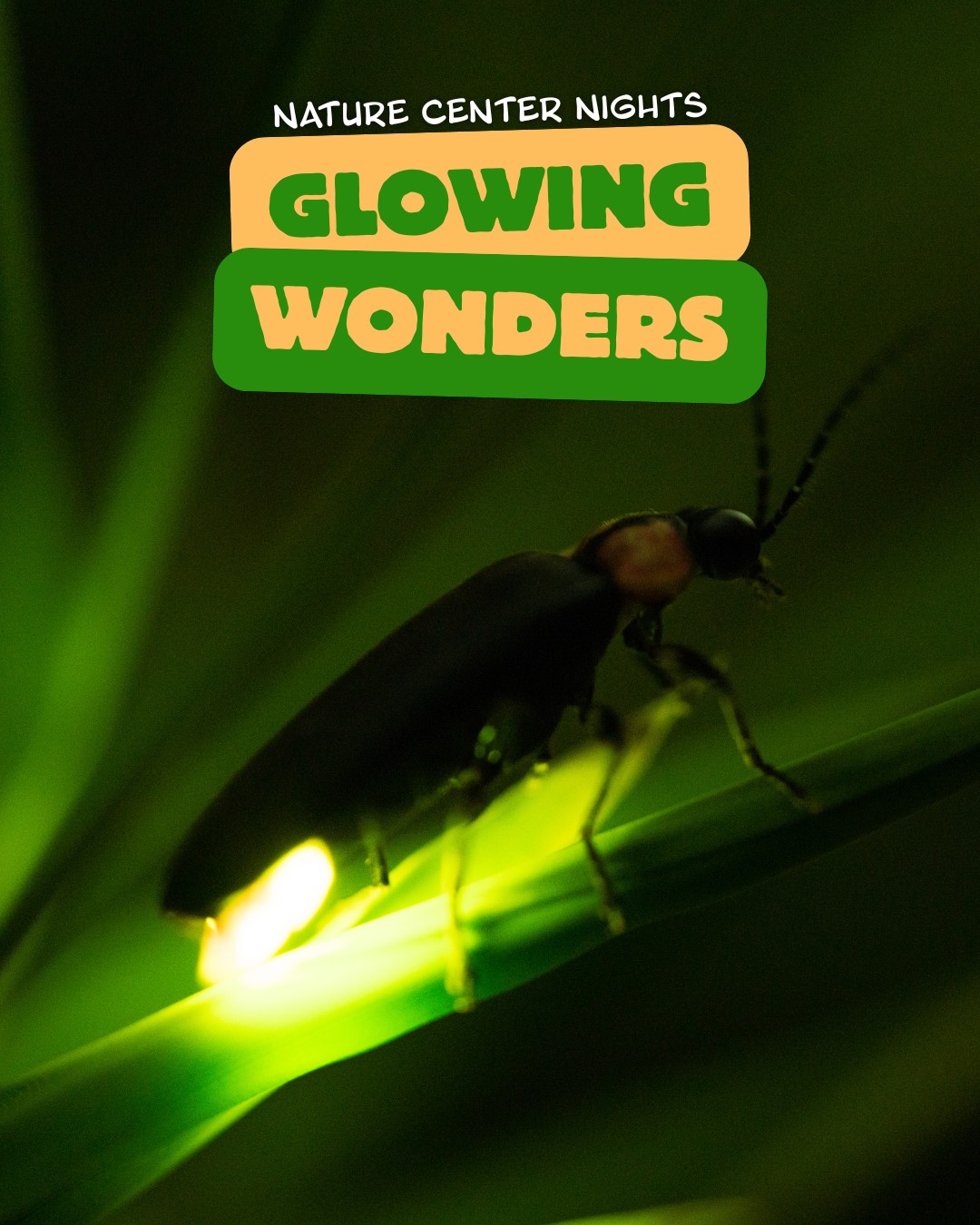 Nature Center Nights - Glowing Wonders