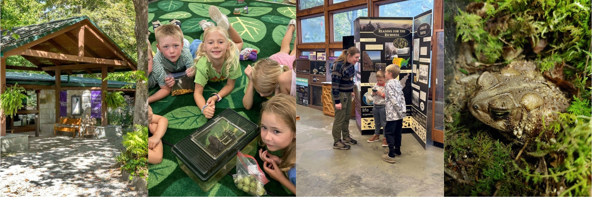 summer programs Animals at Highlands Nature Center