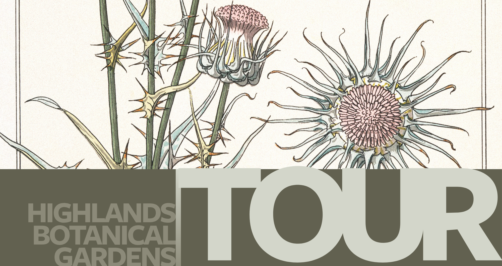 730 - Tour (4)