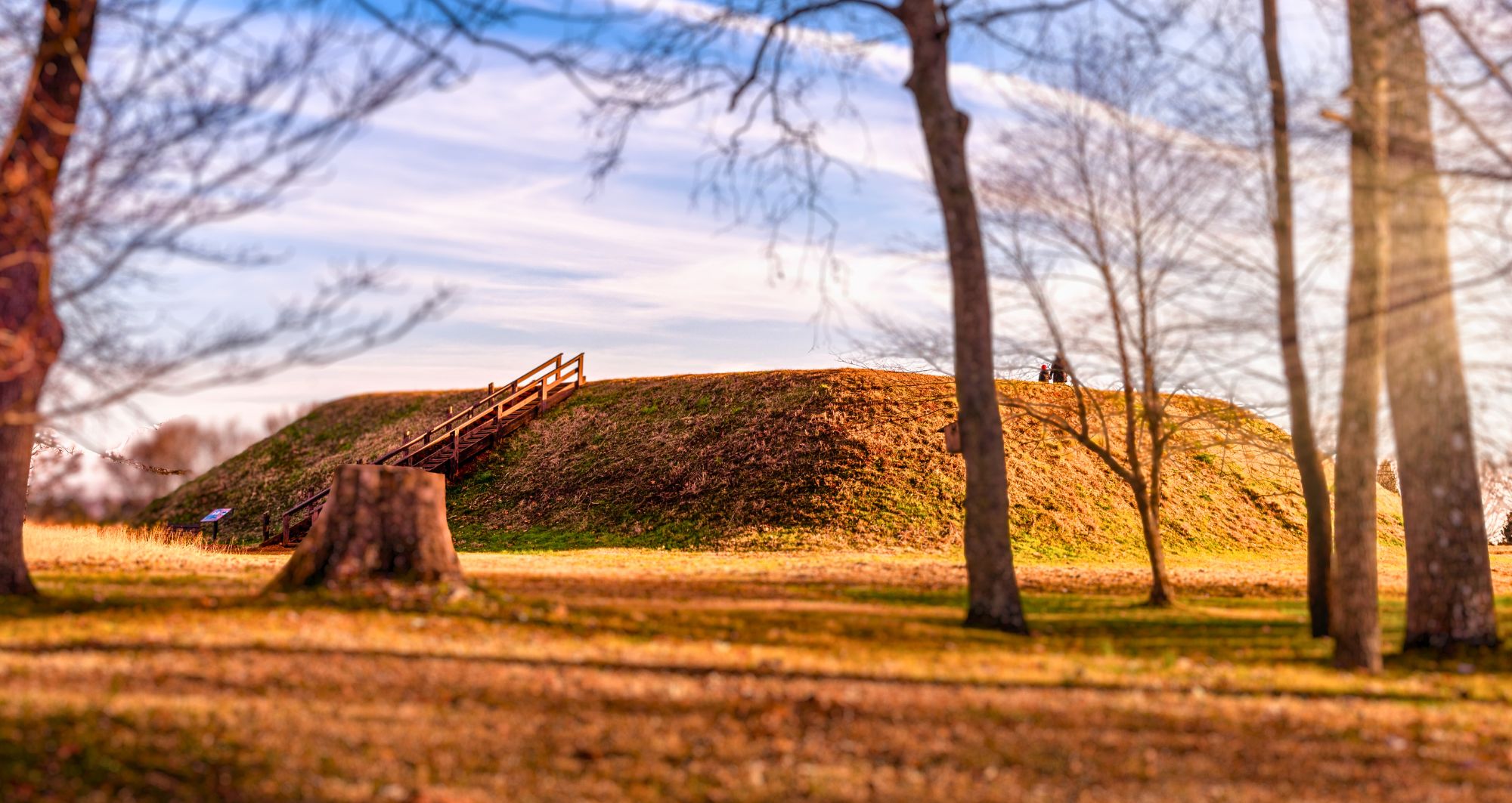 Etowah Mounds