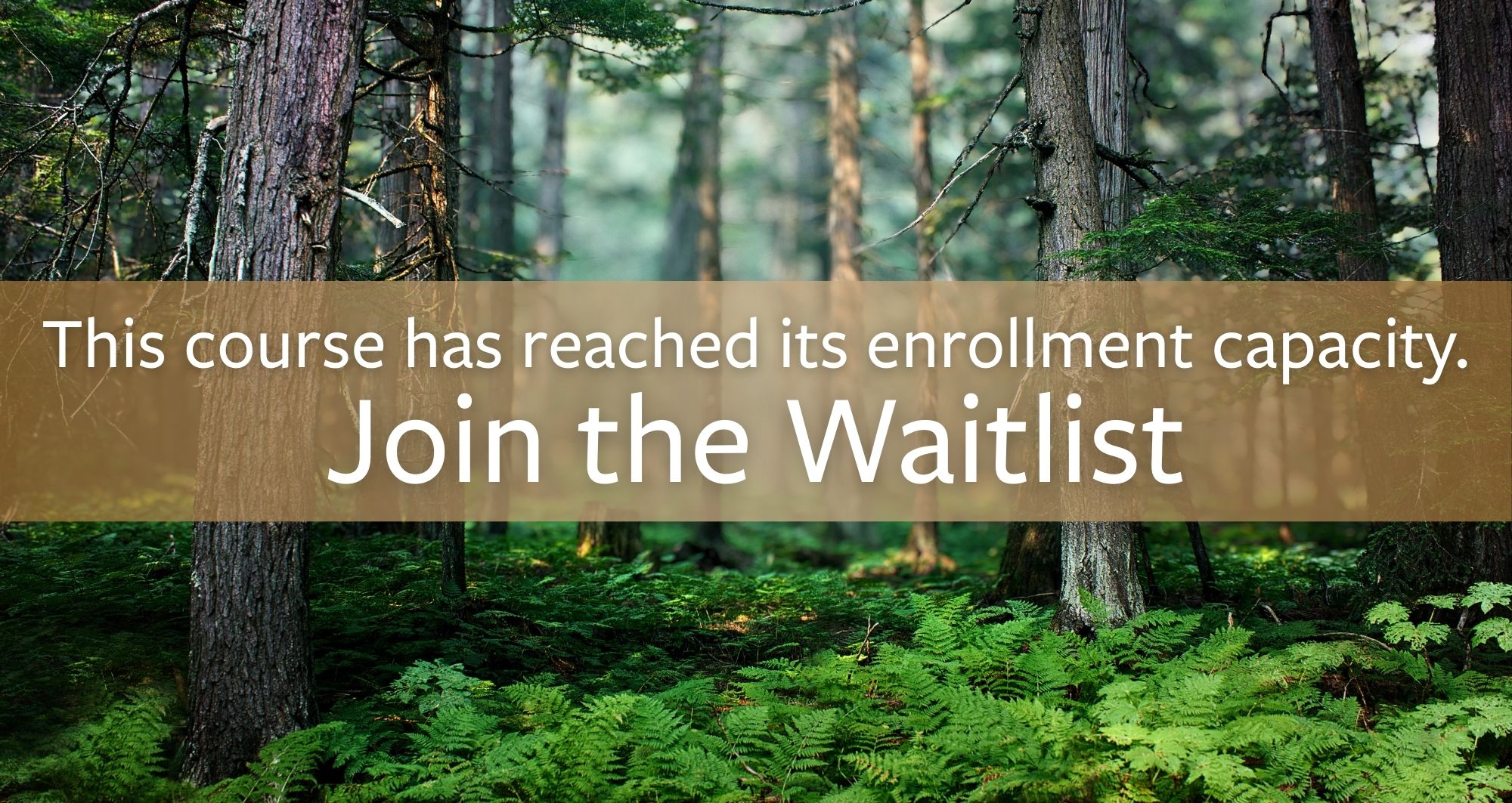 Course full - Vascular Flora