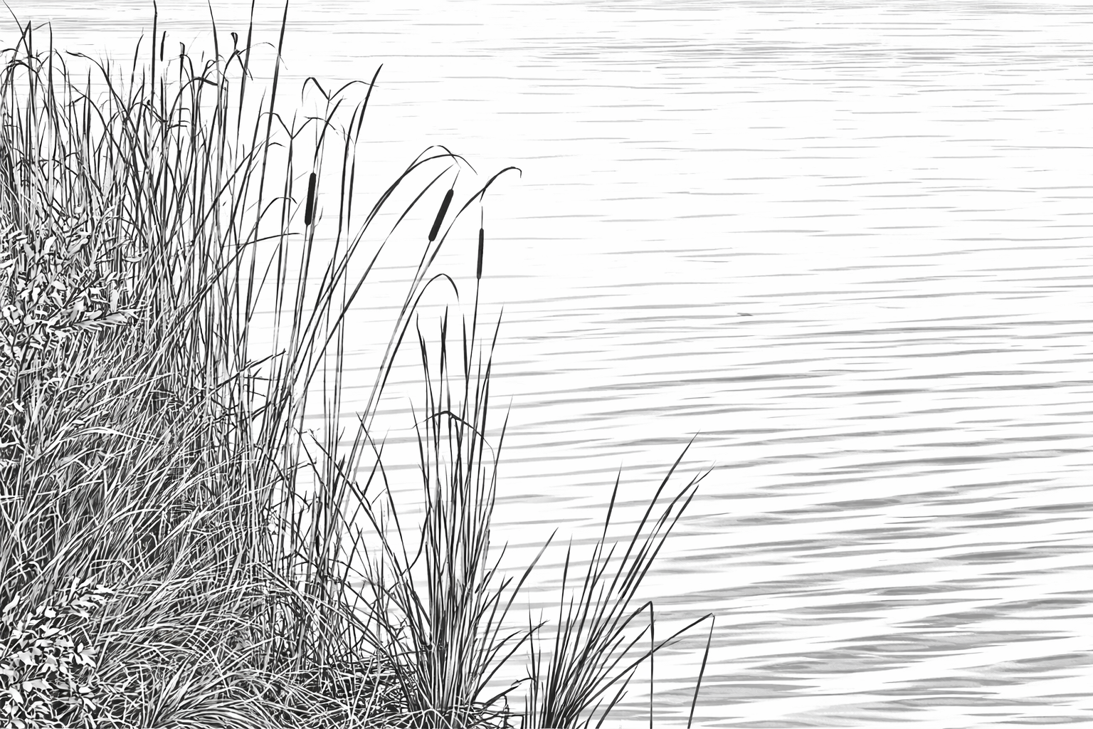 How a Lake Made for Leisure Became the Heart of a Laboratory