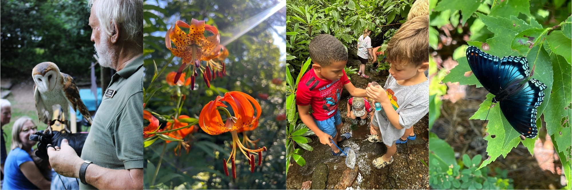 2026 Spring Campaign - Free Environmental Programs from HBF