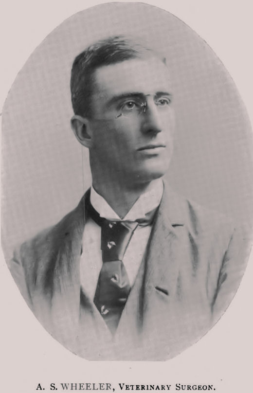 A. S. Wheeler, Veterinary Surgeon — archival portrait