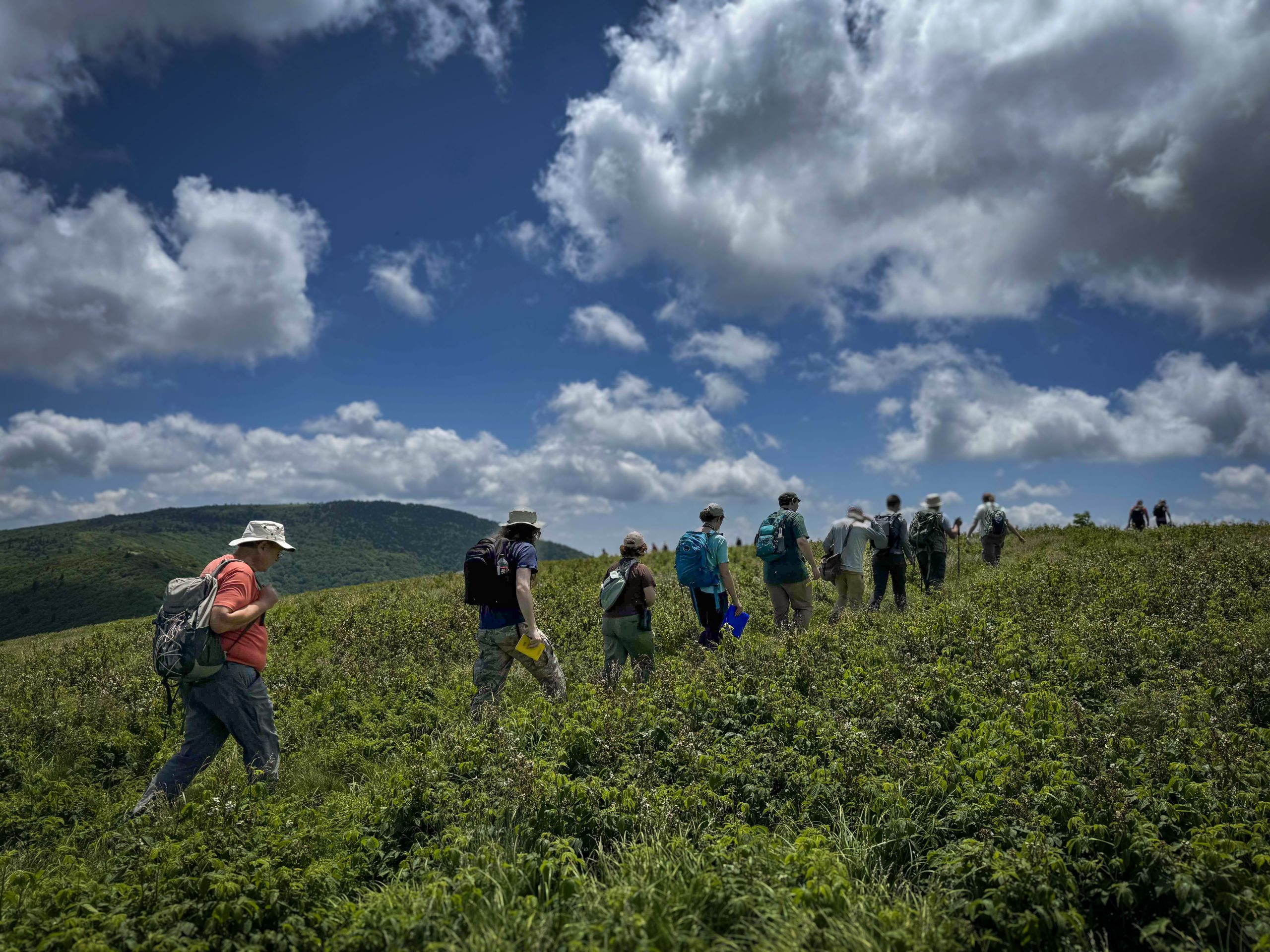 On the trail, Roan Mountain