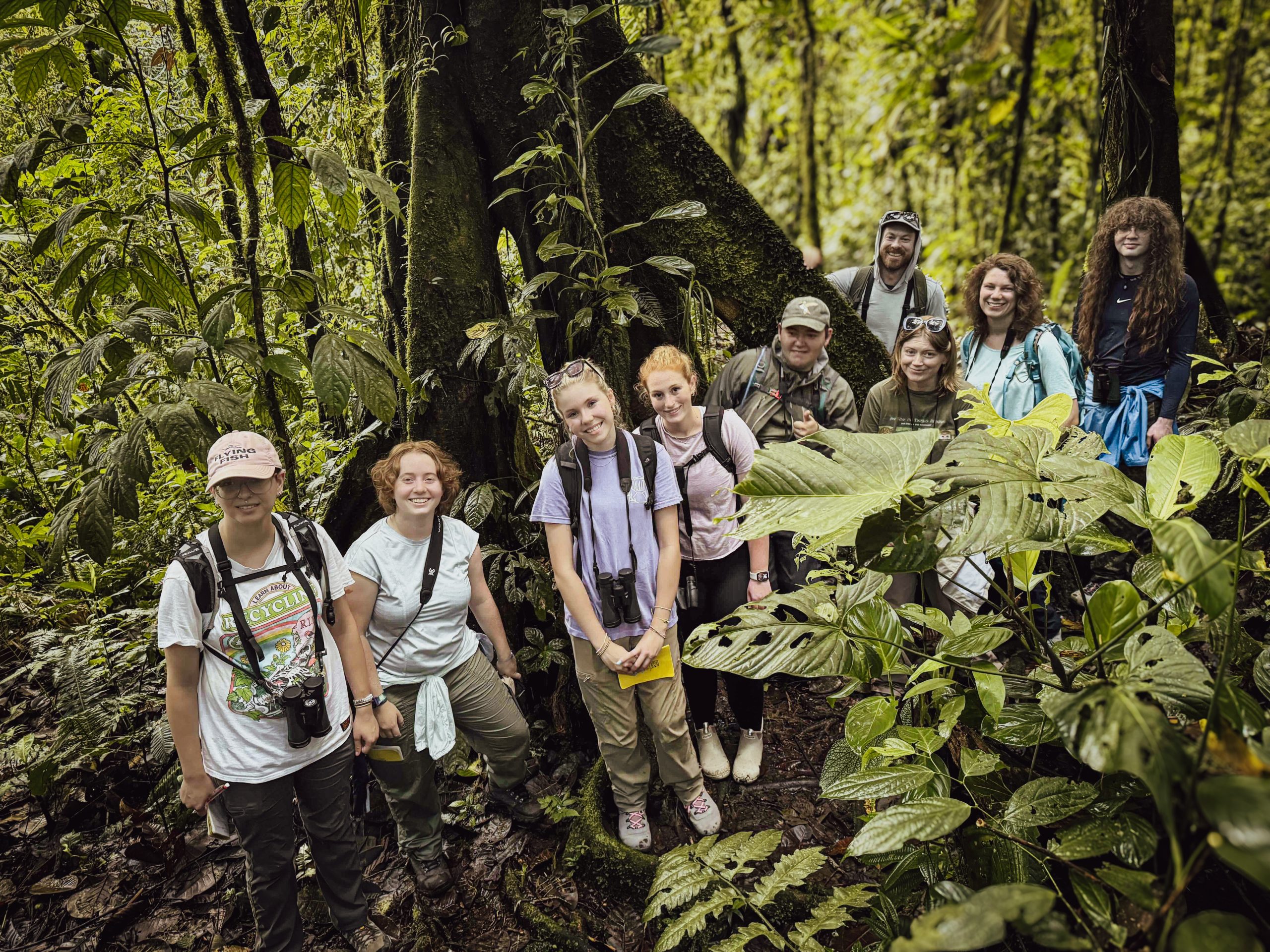 Entering the cloud forest, Ecuador