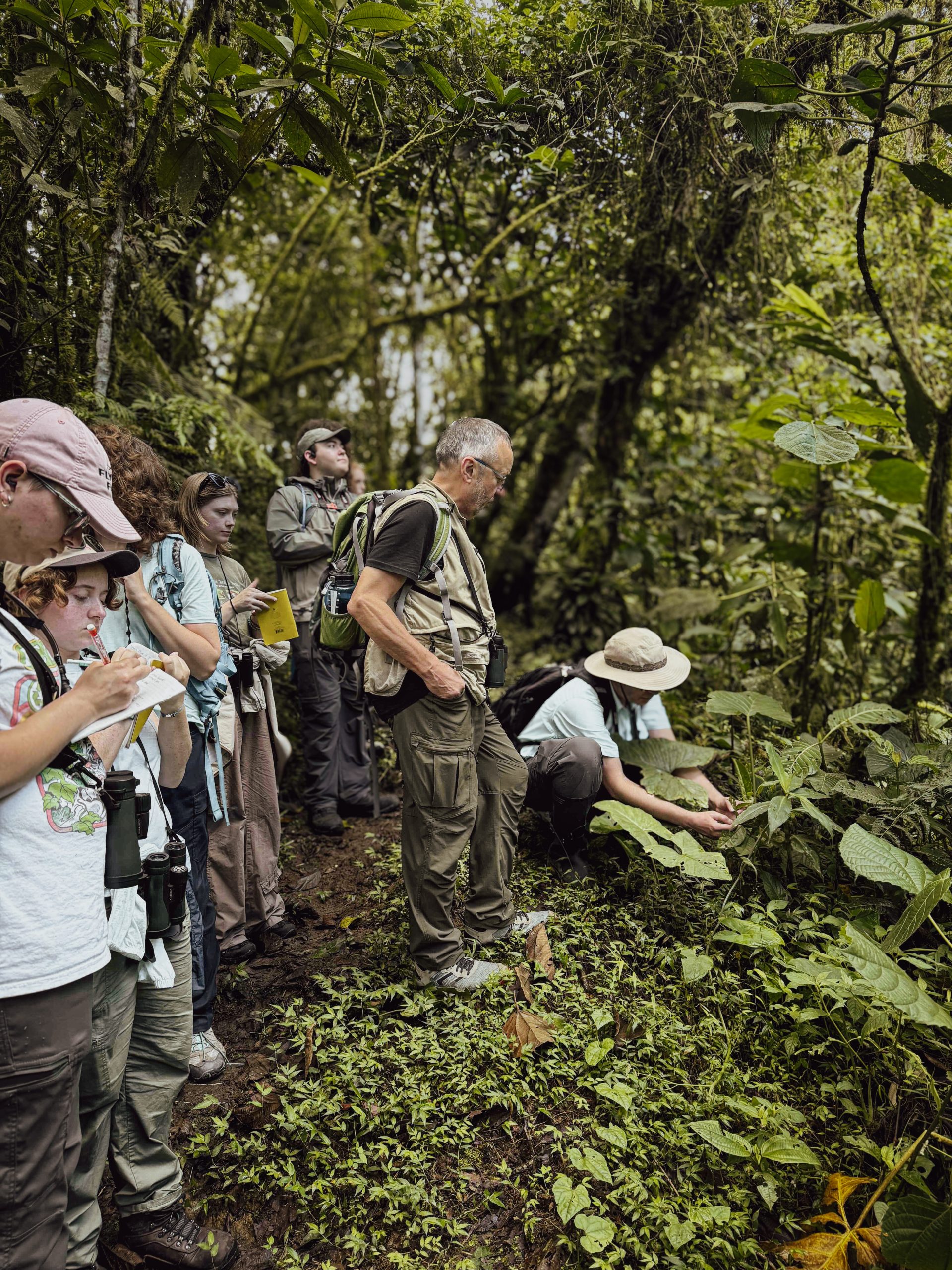 On the trail in the Andean rainforest