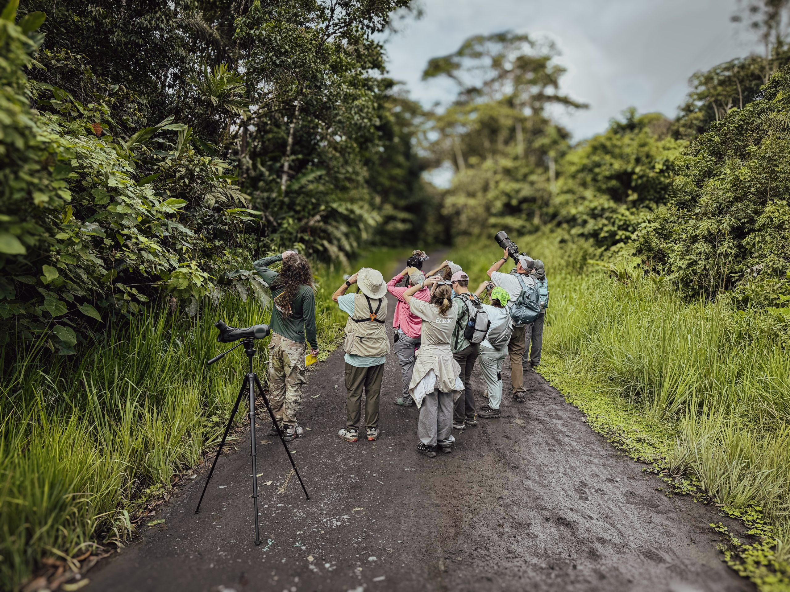 Birding the Andean rainforest at Wildsumaco