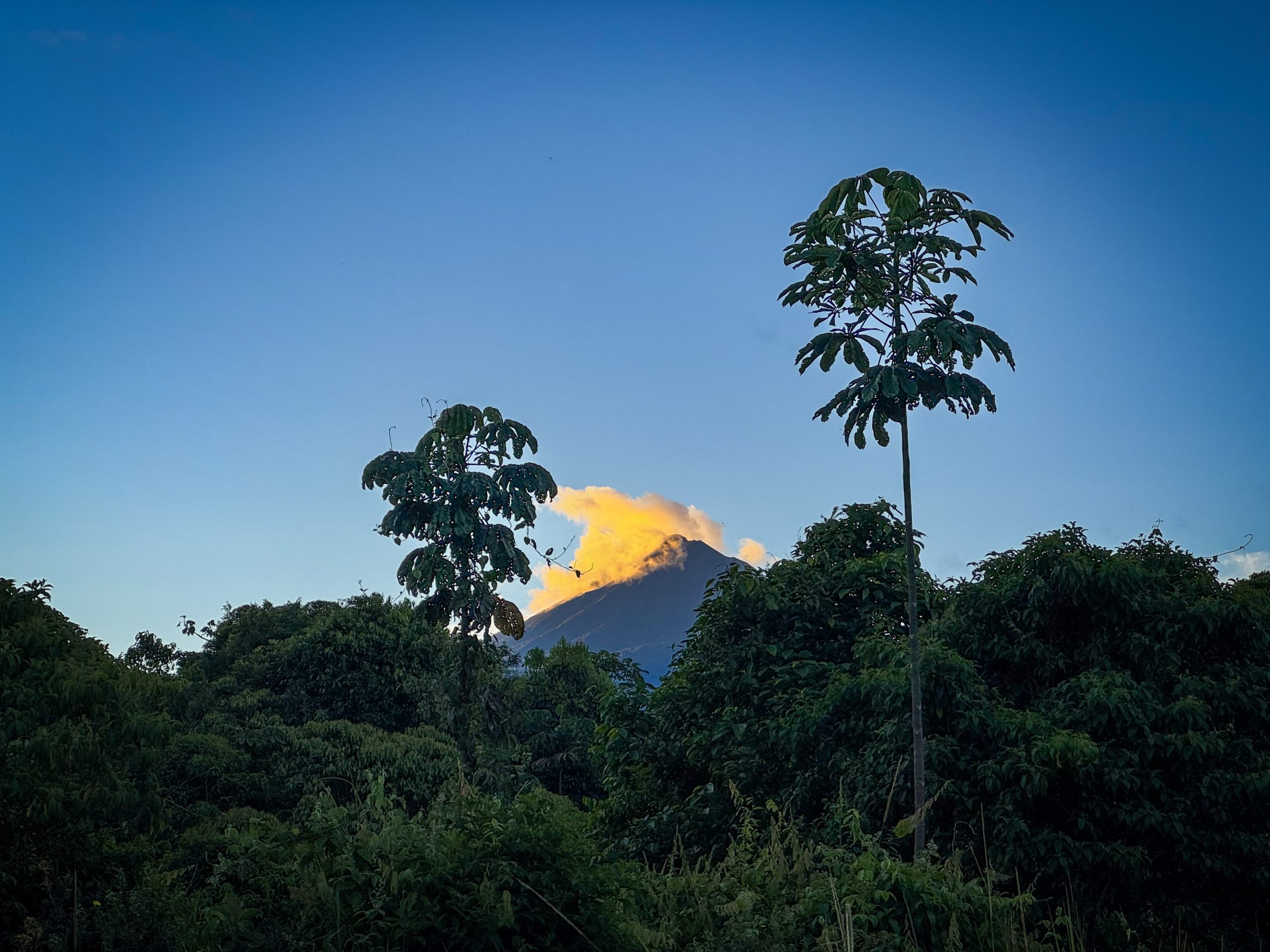 Sumaco Volcano, Ecuador