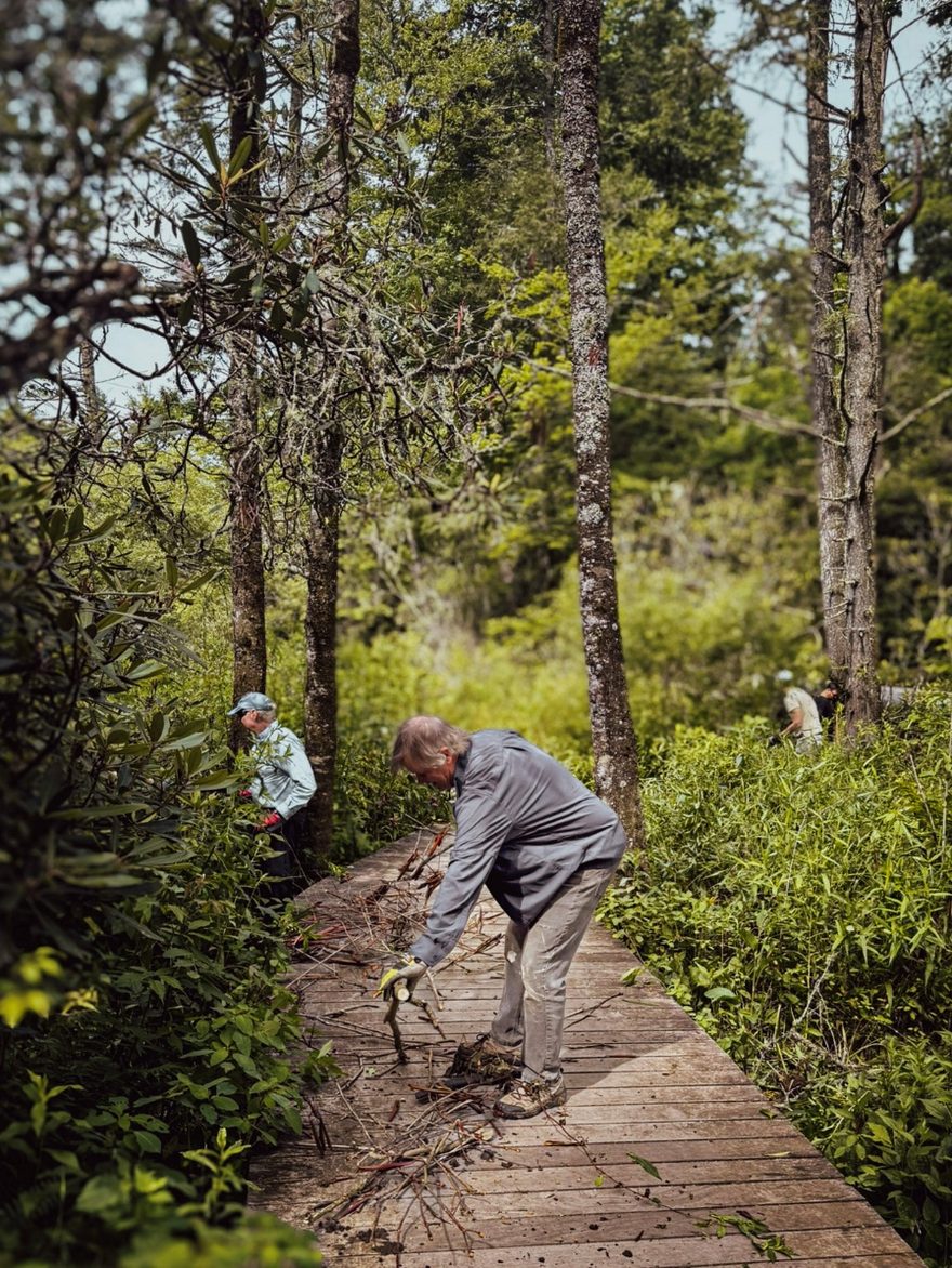 A volunteer bent over clearing brush onto a wooden boardwalk through the woods, an orange safety cone nearby.