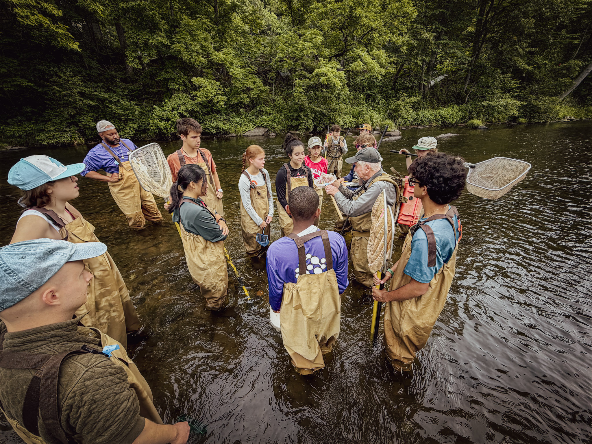 Streamside fish sampling on the Cullasaja River during the summer biomonitoring survey.