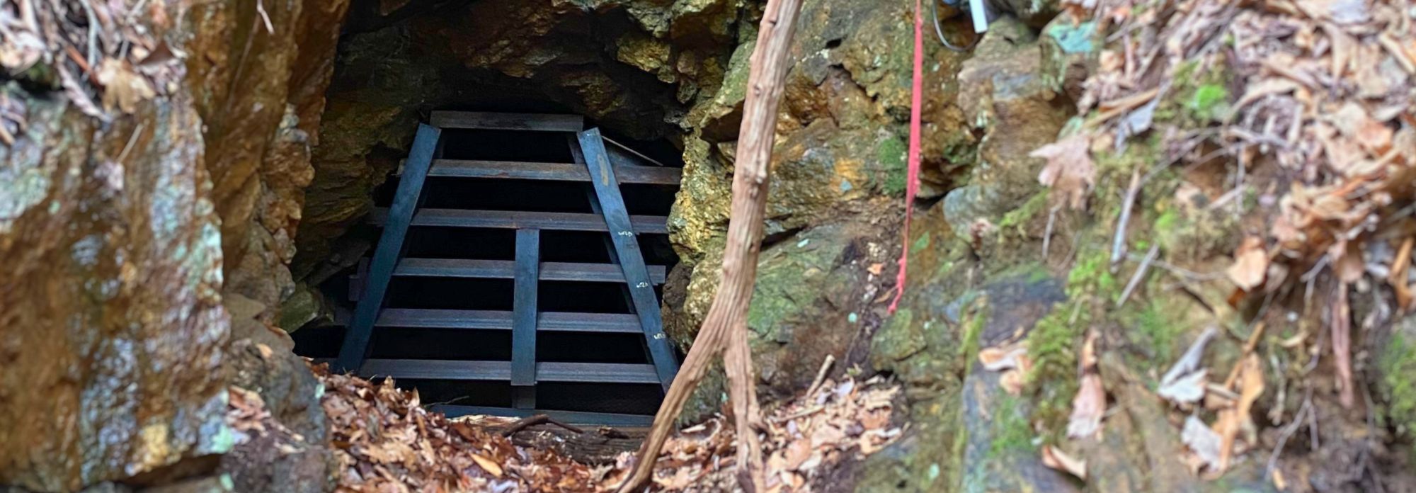 Boulders and Bats and Bears — a winter bat survey in the caves of the southern Blue Ridge.