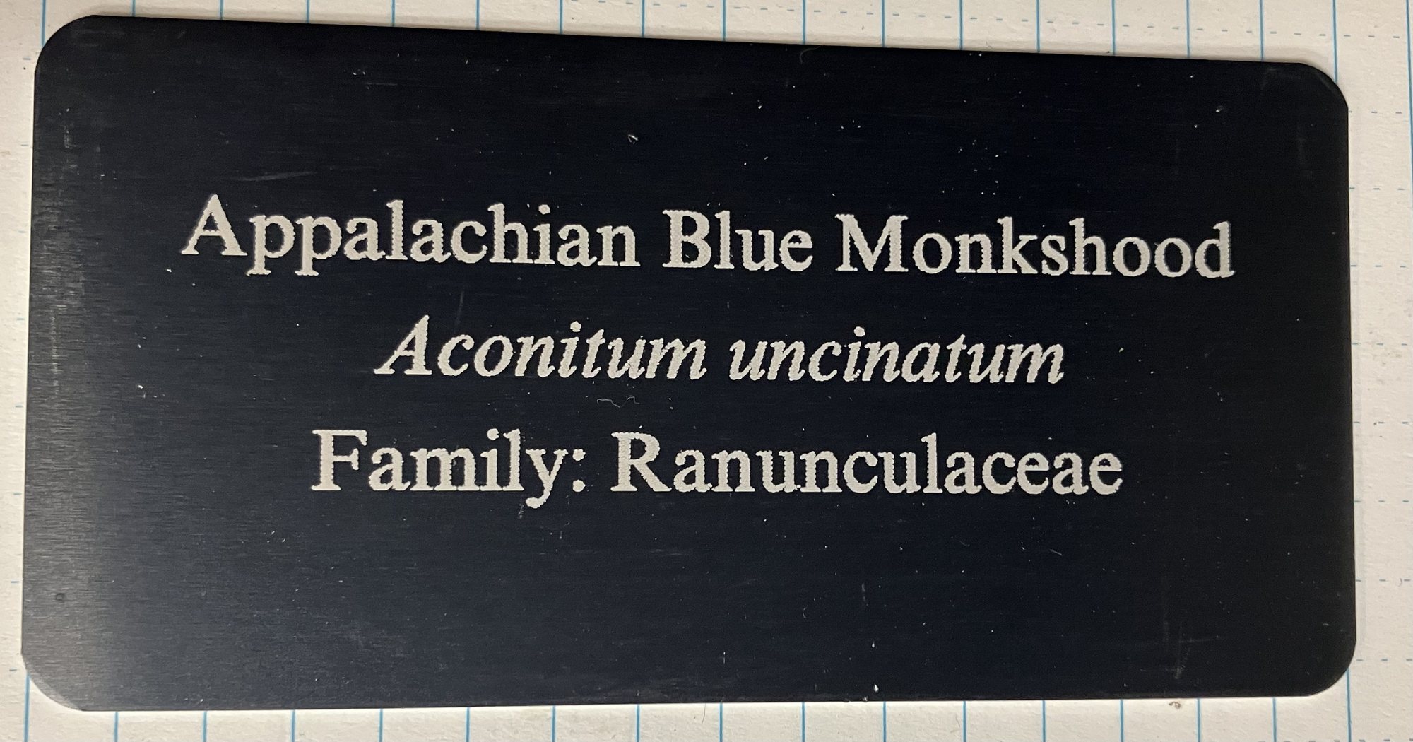 A current plant label in the Highlands Botanical Gardens reading Appalachian Blue Monkshood, Aconitum uncinatum, Family: Ranunculaceae.